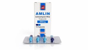 AMLIN Lincomycin 500mg capsules packaging with blister pack by Amros Pharmaceuticals