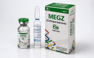 Megz cefoperazone 2g injection by Amros Pharmaceuticals antibiotic injection